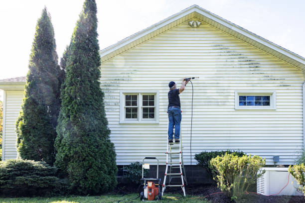 Best Best Pressure Washing Companies  in Waupun, WI