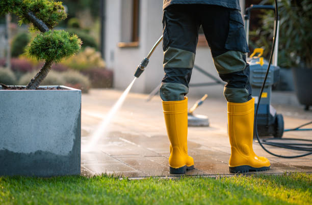 Best Roof Power Washing Services  in Waupun, WI